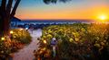RumFish Beach Resort by TradeWinds, St Petes / Clearwater, Florida, USA, 5