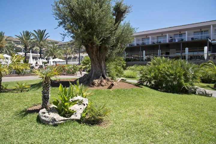 Piscine Tropicale Picture Of Beach Club Font De Sa Cala