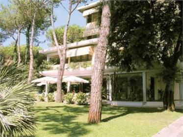 Hotel Andreaneri Marina Di Pietrasanta Versilia Coast - 