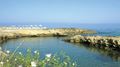 Cynthiana Beach Hotel, Kissonerga, Paphos, Cyprus, 20