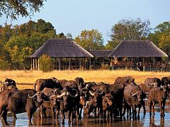 Makalolo Plains Hotel, Hwange National Park, Hwange National Park, Zimbabwe, 1
