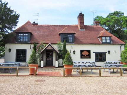 The Yew Tree Inn, Newbury, Hampshire, United Kingdom, 1