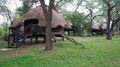 Sikumi Tree Lodge, Hwange National Park, Hwange National Park, Zimbabwe, 3