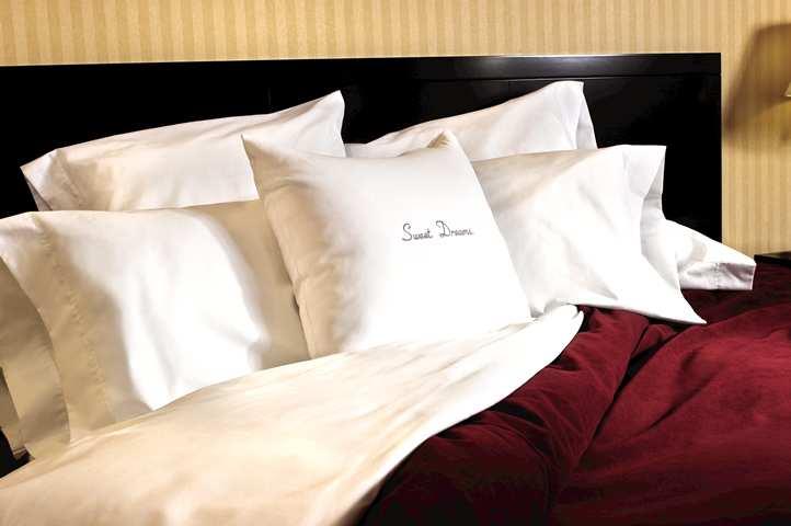 Doubletree by hot sale hilton pillows