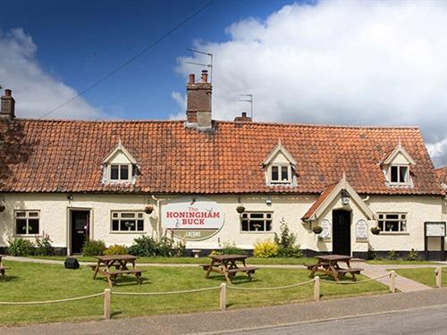 The Honingham Buck Honingham Norfolk United Kingdom - 